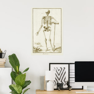Vintage-Skelett, menschliche Anatomie von Denis Di Poster