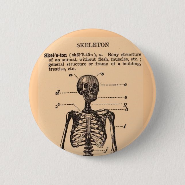 Vintage Skelettdefinition Button (Vorderseite)