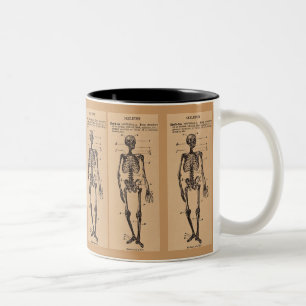 Vintage Skelettdefinition Zweifarbige Tasse