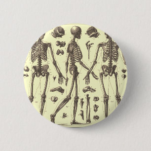 Vintage Skelettdiagramme Button