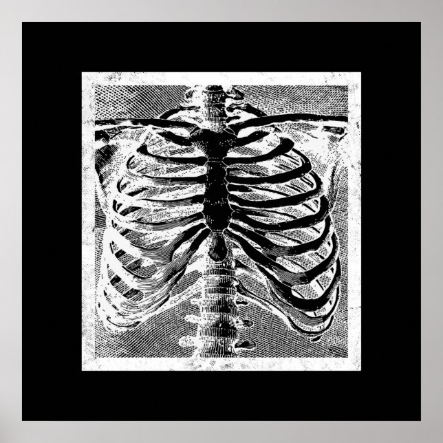 Vintage Skelettknochen Torso-Karosserie Halloween Poster (Vorne)