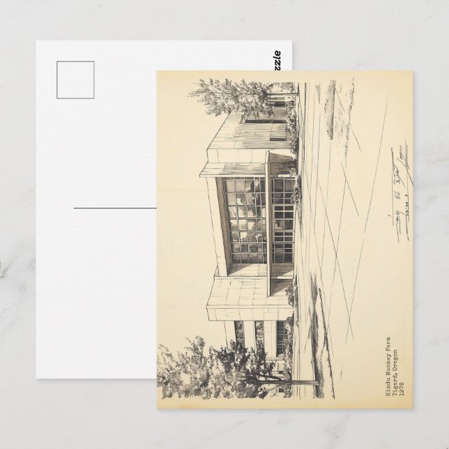 Vintage Sketch Hindu Affenfarm Postkarte (Vorne/Hinten)