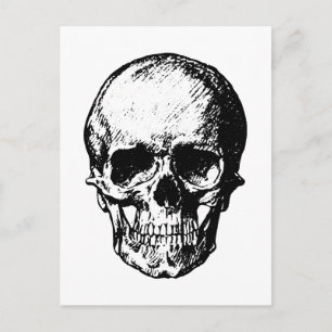 Vintage Skull-Illustration in Schwarzweiß Postkarte