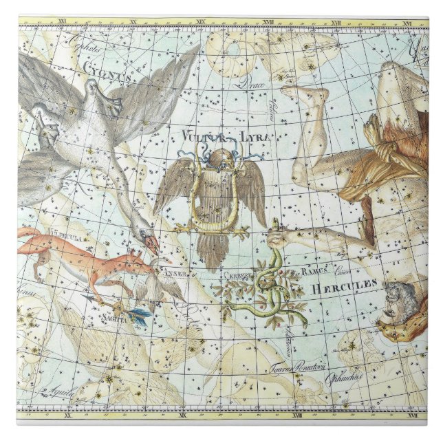 Vintage Sky Map Constellation of Hercules Fliese (Vorderseite)