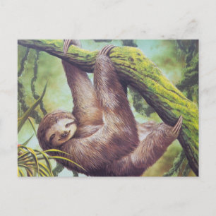 Vintage Sloth Illustration Postkarte