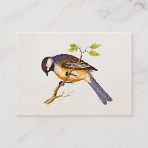 Vintage-Songvogel-Illustration - Vögel aus dem 19. Visitenkarte