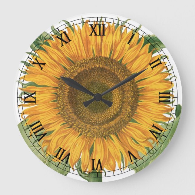 Vintage Sonnenblume Blume von Basilius Besler Große Wanduhr (Vorderseite)