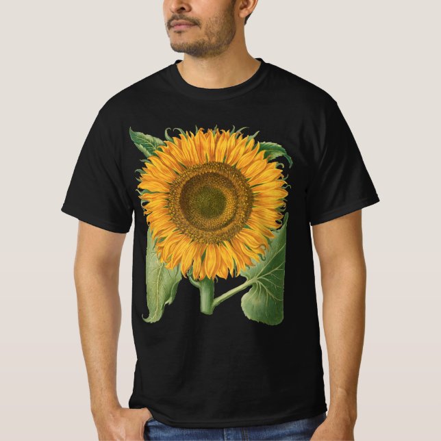 Vintage Sonnenblume Blume von Basilius Besler T-Shirt (Vorderseite)