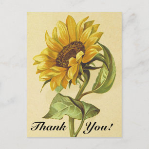 Vintage Sonnenblume "Danke!" Postkarte