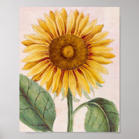 Vintage Sonnenblume Happy Blume