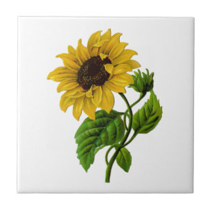 Vintage-Sonnenblume individuelles Geschenkartikel Fliese