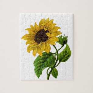 Vintage-Sonnenblume individuelles Geschenkartikel Puzzle