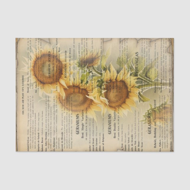 Vintage Sonnenblume IV Seidenpapier (Vorderseite)