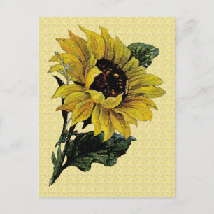 Vintage Sonnenblume Postkarte