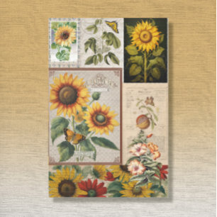 Vintage Sonnenblume Schmetterling Seed Packet Ephe Seidenpapier