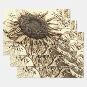 Vintage Sonnenblume Sepia Tone Alte Skriptdekoupag Geschenkpapier Set