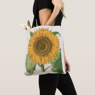 Vintage-Sonnenblume von Basilius Besler