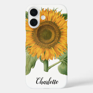 Vintage-Sonnenblume von Basilius Besler iPhone 16 Hülle