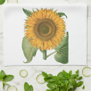 Vintage-Sonnenblume von Basilius Besler Geschirrtuch