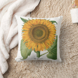 Vintage-Sonnenblume von Basilius Besler Kissen