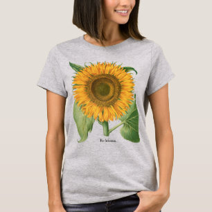 Vintage-Sonnenblume von Basilius Besler T-Shirt
