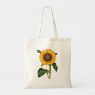 Vintage-Sonnenblumen-Botanik-Kunst von Merian Tragetasche