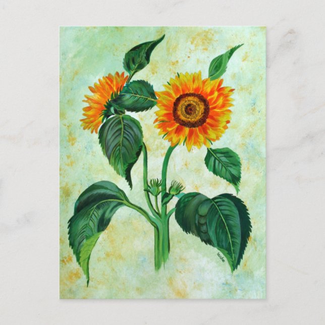 Vintage Sonnenblumen Botanische Kunst Postkarte (Vorderseite)