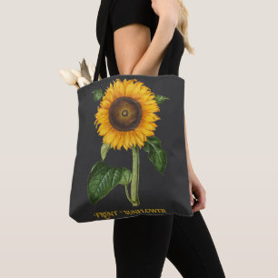 Vintage-Sonnenblumen-Botanische Kunst von Merian