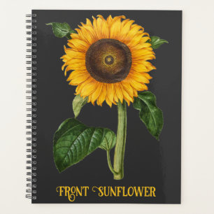 Vintage-Sonnenblumen-Botanische Kunst von Merian Planer