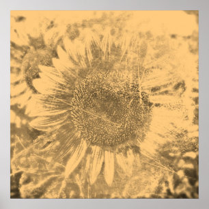 Vintage-Sonnenblumen-Gemälde Kunstwerk #2 - Poster