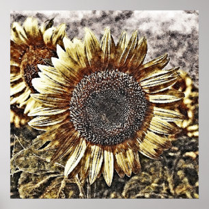 Vintage-Sonnenblumen-Gemälde Kunstwerk #4 - Poster