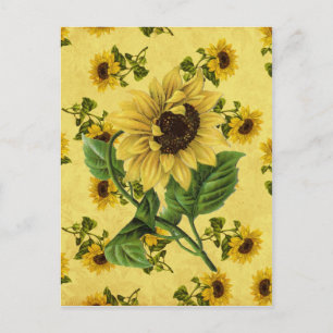 Vintage Sonnenblumen Postkarte