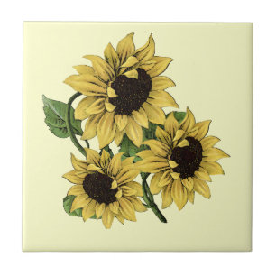 Vintage Sonnenblumen-Wasserfarben-Design Fliese