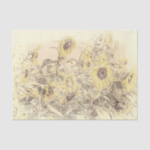 Vintage Sonnenblumenfeld Gelb abgenutzte Textur Seidenpapier
