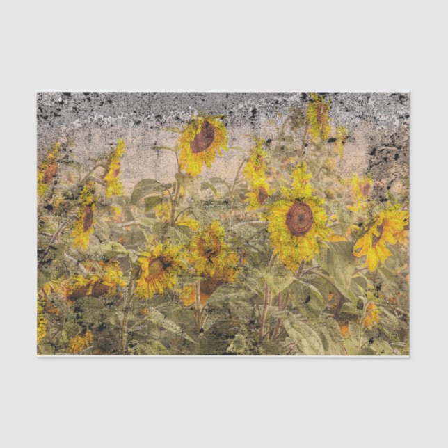 Vintage Sonnenblumenfelgelbe Grunge Textur Seidenpapier (Vorderseite)