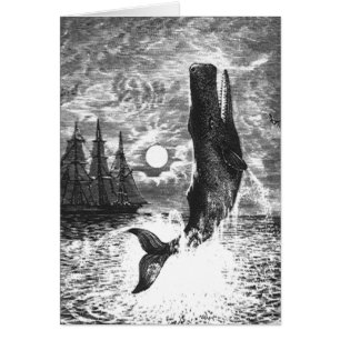 Vintage Spermienwale, Meerestiere