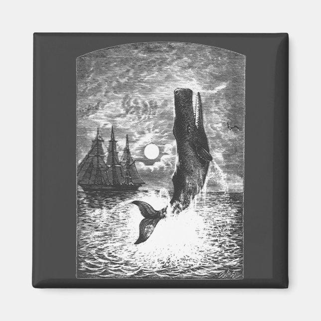Vintage Spermienwale, Meerestiere Magnet (Vorne)