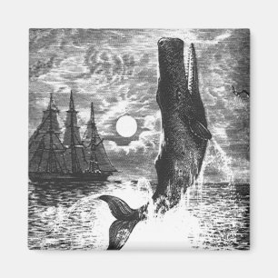 Vintage Spermienwale, Meerestiere Magnet