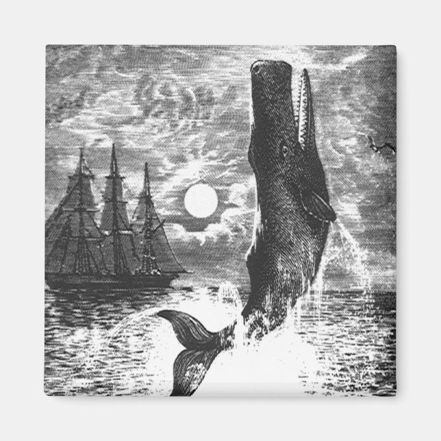 Vintage Spermienwale, Meerestiere Magnet (Vorne)