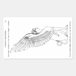 Vintage Sphinx-Illustration Rechteckiger Aufkleber
