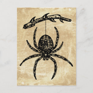 Vintage Spinne hängt von Ast Postkarte