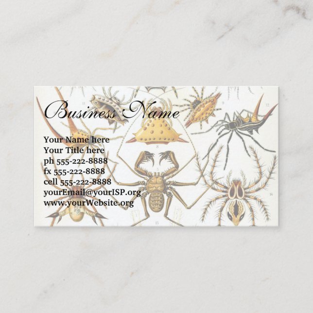 Vintage Spinnen oder Arachniden von Ernst Haeckel Visitenkarte (Vorderseite)