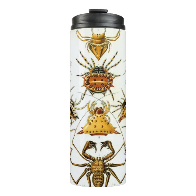 Vintage-Spinnen oder Spinnentiere von Ernst Haecke Thermosbecher (Vorderseite)