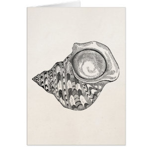 Vintage Spitzenseashell-Antiken-Muschel-Schablone