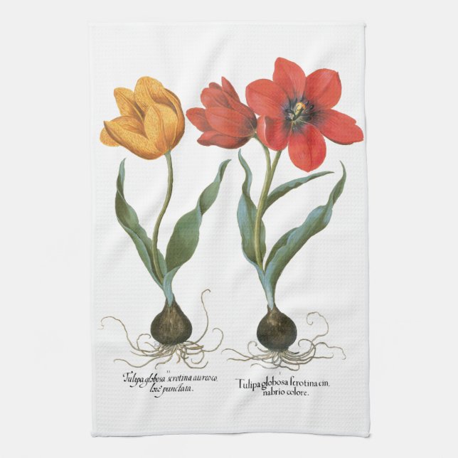 Vintage Spring Tulip Blume von Basilius Besler Geschirrtuch (Vertikal)