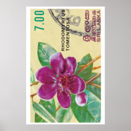 Vintage Sri Lanka Blumenprint - Postage Stam Poster