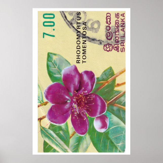 Vintage Sri Lanka Flower Print - Postage Stam Poster (Vorne)