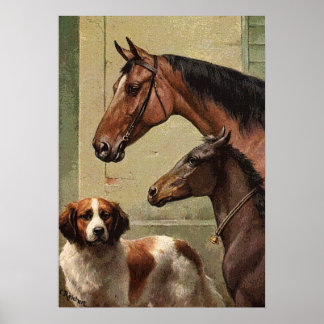 Vintage St. Bernard Kunst, Dichtung und Musik Poster