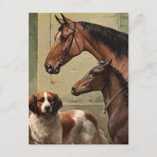 Vintage St. Bernard Kunst, Dichtung und Musik Postkarte