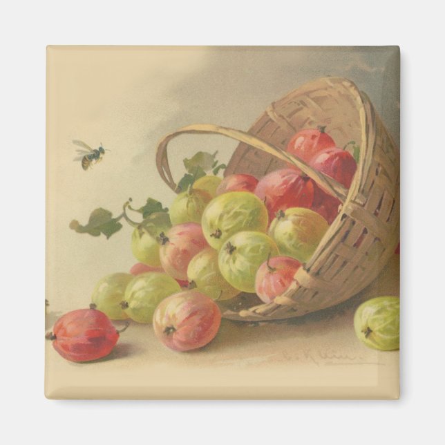 Vintage Stachelbeeren Magnet (Vorne)